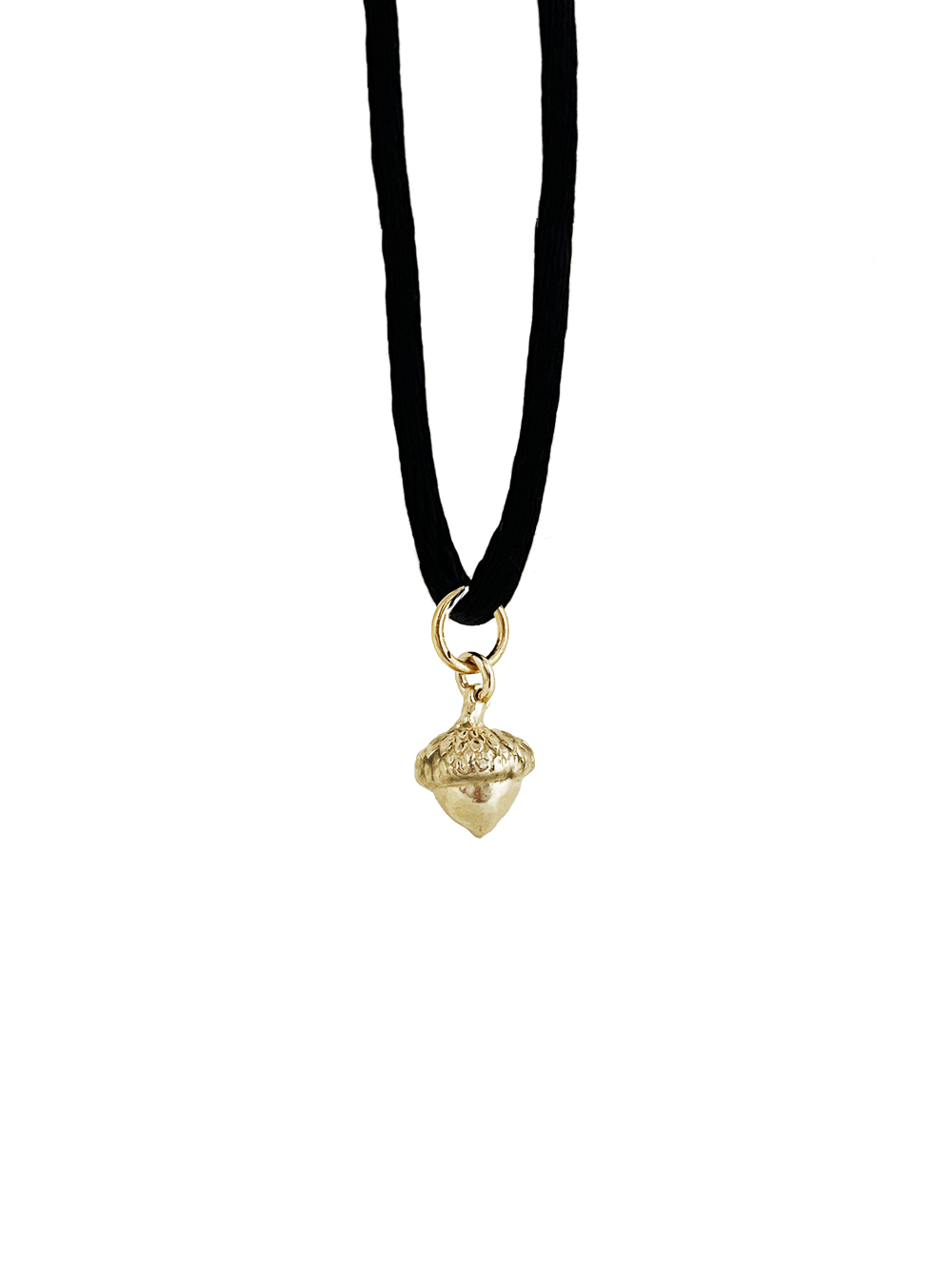 Tiny Acorn  ∞ Charm