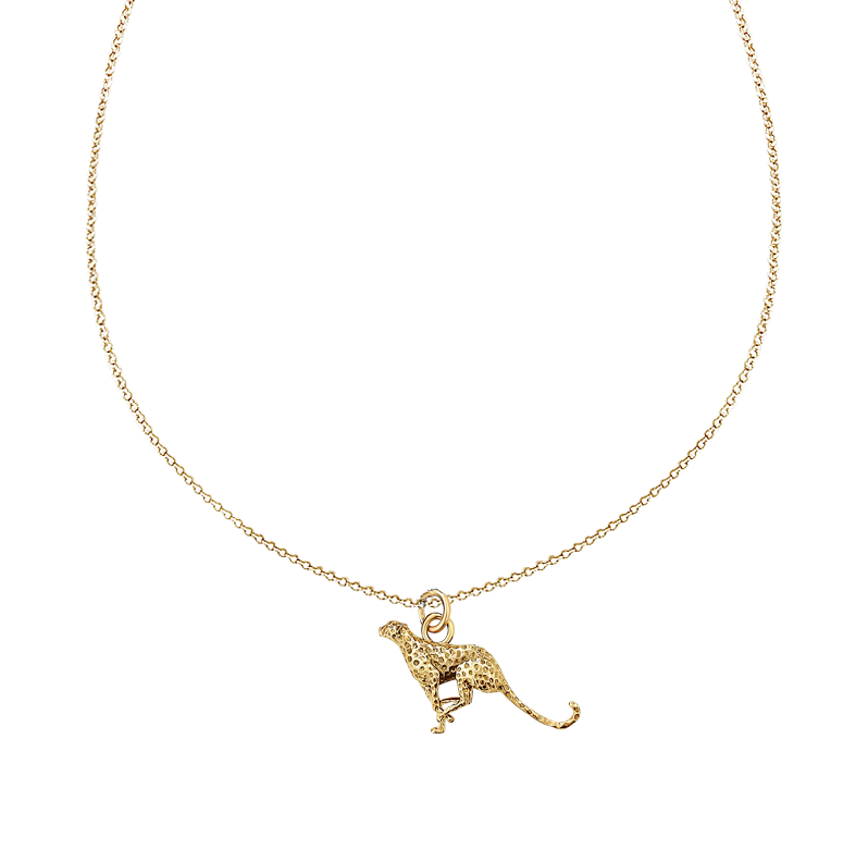 The Goddamn Cheetah  ∞  Necklace
